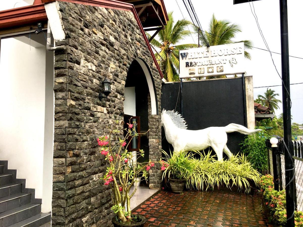 White Horse Mirissa Hotel Eksteriør billede